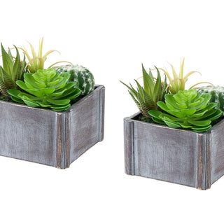 Artificial Succulent, Table Decor (Set of 2) - Green / Dark Gray