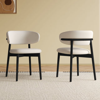 Mid-Century Modern Dining Chair (Set of 2)