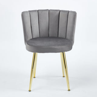 Ergonomic Dining Chair (Set of 2)