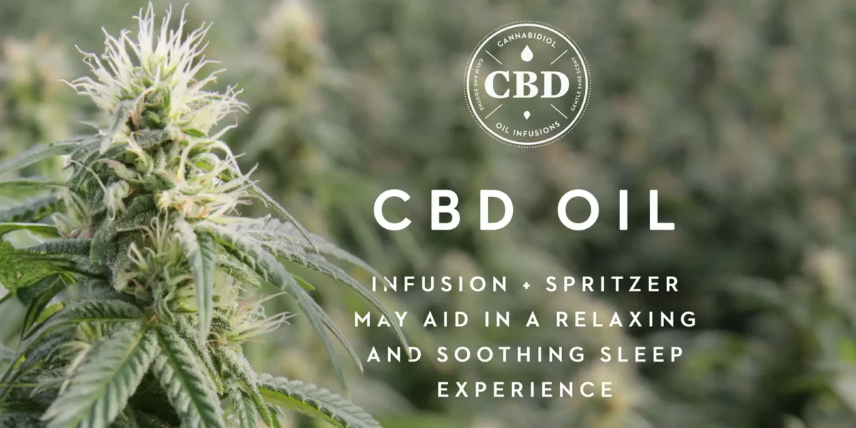 Shoulder Zoned Dough™ + CBD Oil Pillow - Image 7